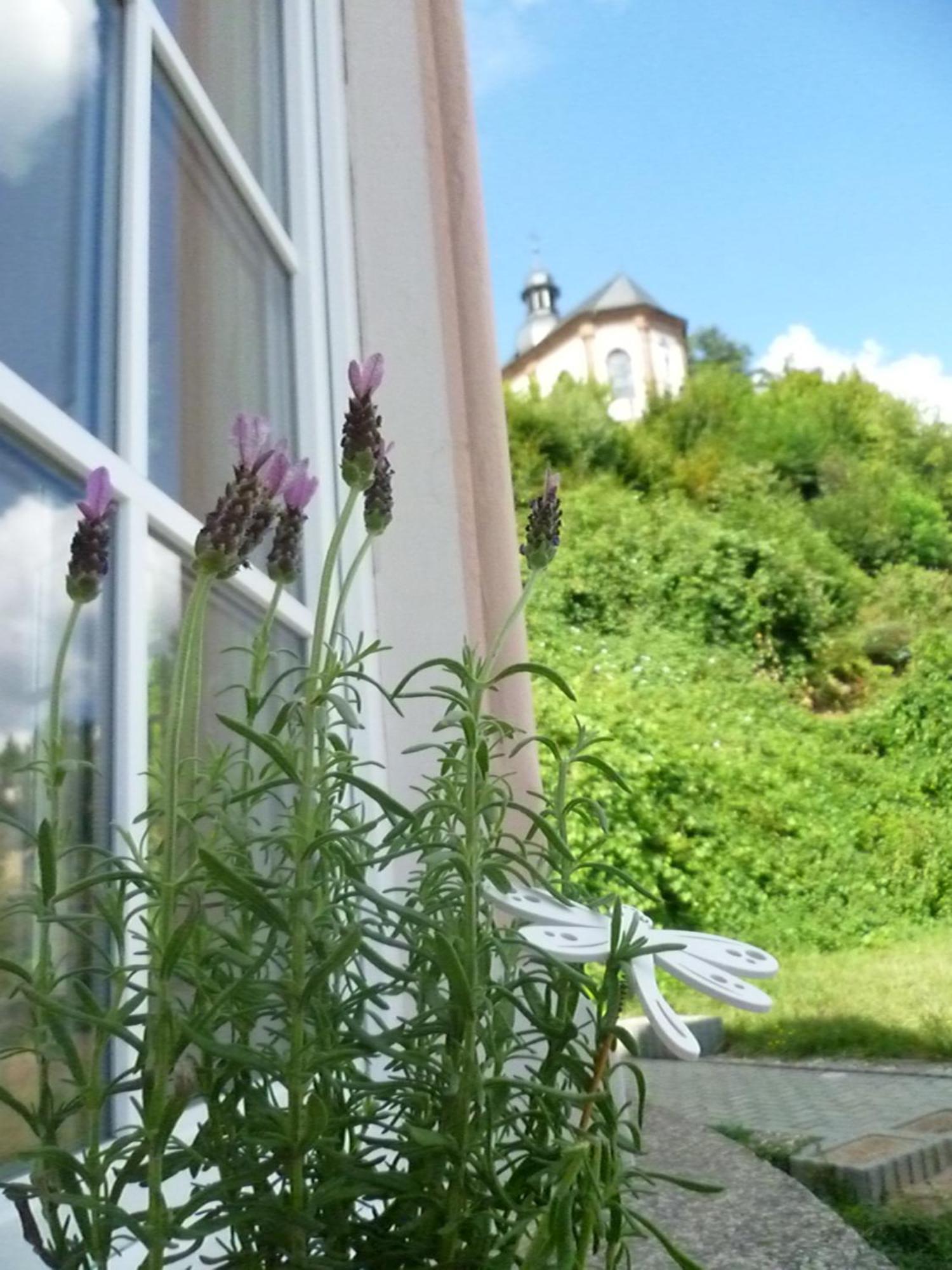 Moderne Wohnung In Barockem Altstadthaus Nahe Altstadt Und Radweg บลีสคาสเทล ภายนอก รูปภาพ